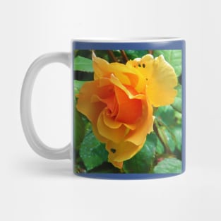 Ragged rose Mug